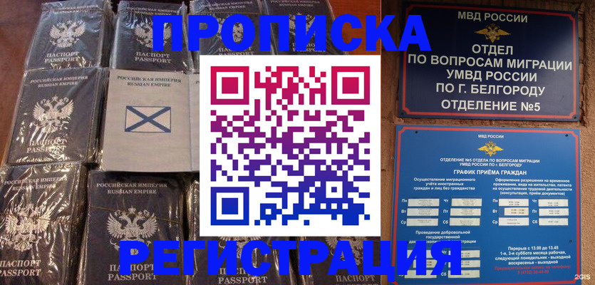 прописка гарантия в Касимове